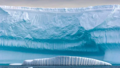 کشف یک راز زمینشناسی 500 میلیون ساله! 7 کشف یک راز زمینشناسی 500 میلیون ساله!