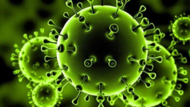 هشدار وزارت بهداشت: افزایش موارد کرونا و آنفلوانزا در کشور 10 هشدار وزارت بهداشت: افزایش موارد کرونا و آنفلوانزا در کشور