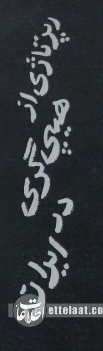 هیپی