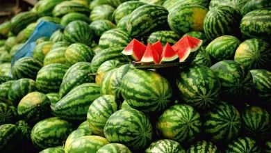 هندوانه برای دیابتی‌ها ممنوع است؟