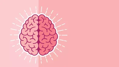 پژوهش جدید: قندها، ناجیان خاموش مغز در برابر پیری! 8 پژوهش جدید: قندها، ناجیان خاموش مغز در برابر پیری!