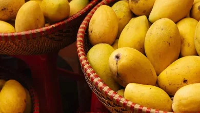 خواص باورنکردنی انبه؛ از خواص ضدالتهابی تا ضد سرطانی 6 با خوردن این میوهها مشکل نفخ و یبوست را برطرف کنید