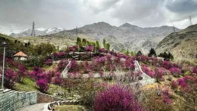 گلابدره، پاتوق رؤیایی کوهنوردان و گردشگران تهرانی متحول می‌شود