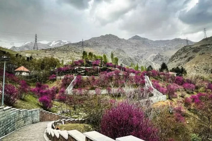 گلابدره، پاتوق رؤیایی کوهنوردان و گردشگران تهرانی متحول میشود 1 گلابدره، پاتوق رؤیایی کوهنوردان و گردشگران تهرانی متحول میشود