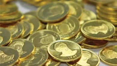 خریداران نیم سکه در یک ماه اخیر، چقدر ضرر داده‌اند؟