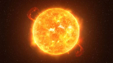 نخستین تصاویر 8K از خورشید: جزئیاتی بیسابقه از سطح خورشید 1 تصاویر 8K از خورشید: جزئیاتی بیسابقه از سطح خورشید