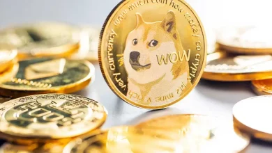 هیجان به بازار میم کوین ها برگشت