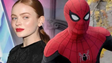 شایعات حضور سیدی سینک در فیلم مرد عنکبوتی قوت گرفت 1 شایعات حضور سیدی سینک در فیلم مرد عنکبوتی قوت گرفت