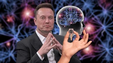 اولین آزمایش بینالمللی تراشه مغزی ایلان ماسک از ابوظبی آغاز شد 5 اولین آزمایش بینالمللی تراشه مغزی ایلان ماسک از ابوظبی آغاز شد