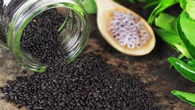 تخم شربتی؛ درمان طبیعی ناراحتیهای گوارشی و عصبی 10 تخم شربتی؛ درمان طبیعی ناراحتیهای گوارشی و عصبی