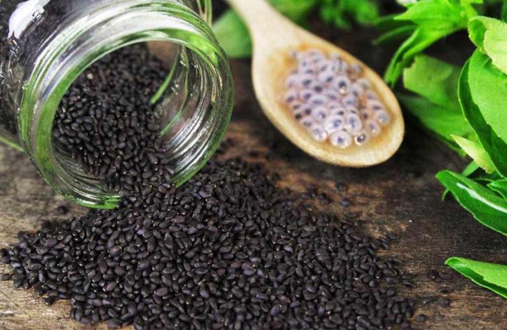 تخم شربتی؛ درمان طبیعی ناراحتیهای گوارشی و عصبی 1 تخم شربتی؛ درمان طبیعی ناراحتیهای گوارشی و عصبی