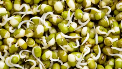 با خواص معجزه‌آسای جوانه ماش بیش‌تر آشنا شوید