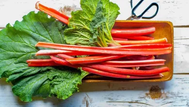 بیش‌تر از خواص باورنکردنی گیاه ریواس بدانید