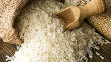 وعده وزیر جهاد کشاورزی برای کاهش قیمت برنج