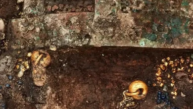 کشف یک تاج تزئین شده با بال سوسک جواهرنشان در کره