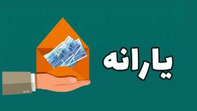 نحوه تفکیک یارانه فرزندان بالای 18 سال مشخص شد