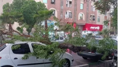 نحوه دریافت خسارت طوفان تهران چگونه است؟