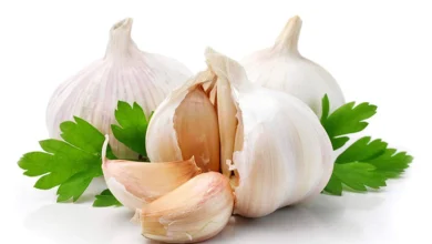 سیر چه فوایدی برای بدن دارد؟ از تقویت ایمنی تا سلامت قلب
