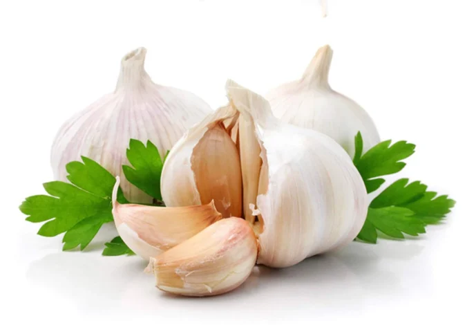 سیر چه فوایدی برای بدن دارد؟ از تقویت ایمنی تا سلامت قلب 1 سیر چه فوایدی برای بدن دارد؟ از تقویت ایمنی تا سلامت قلب