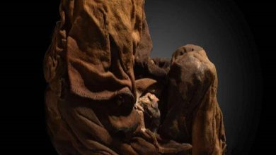 پرده‌برداری از راز هولناک قربانی کردن کودکان توسط اینکاها