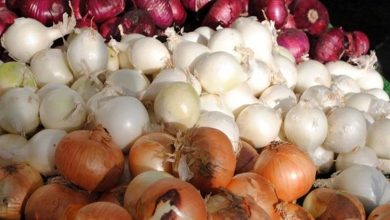 تداوم تورم افسارگسیخته مواد غذایی؛ کدام کالاهای اساسی بیش از ۱۰۰ درصد گران شدند؟