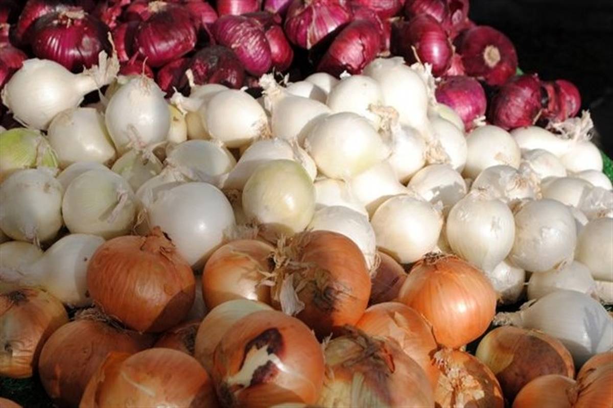 تداوم تورم افسارگسیخته مواد غذایی؛ کدام کالاهای اساسی بیش از ۱۰۰ درصد گران شدند؟