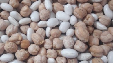 قیمت حبوبات بهطور بیسابقهای افزایش یافته؛ از نخود ۲۲۸ هزار تومانی تا لوبیای ۳۰۰ هزار تومانی 3 قیمت حبوبات بهطور بیسابقهای افزایش یافته؛ از نخود ۲۲۸ هزار تومانی تا لوبیای ۳۰۰ هزار تومانی