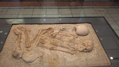 کشف اسکلت 3 هزار ساله در بابل 1 کشف اسکلت 3 هزار ساله در بابل