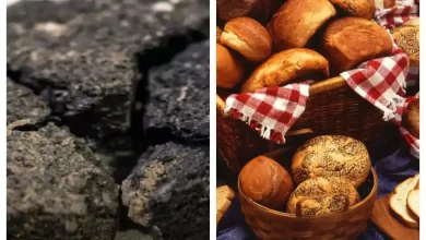 کشف و بازتولید قدیمی ترین نان جهان در ترکیه