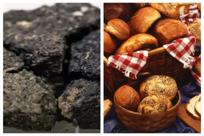 کشف و بازتولید قدیمی ترین نان جهان در ترکیه