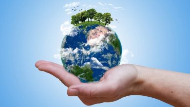 دانشمندان الگویی جهانی برای پراکندگی حیات روی زمین کشف کردند 1 دانشمندان الگویی جهانی برای پراکندگی حیات روی زمین کشف کردند