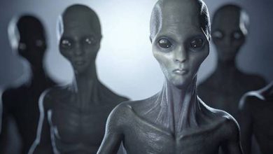 فضانورد انگلیسی: «به کشف حیات فرازمینی نزدیکتر از همیشه هستیم.» 1 فضانورد انگلیسی: «به کشف حیات فرازمینی نزدیکتر از همیشه هستیم.»