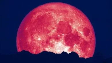 ماه توتفرنگی در آسمان ایران؛ پدیدهای که تا ۱۸ سال دیگر تکرار نمیشود 9 ماه توتفرنگی در آسمان ایران؛ پدیدهای که تا ۱۸ سال دیگر تکرار نمیشود