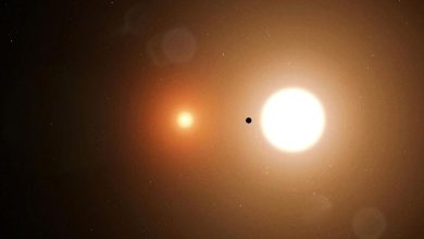 کشف سیارهای عجیب در منظومه دوتایی «نو اکتانیس» 1 کشف سیارهای عجیب در منظومه دوتایی «نو اکتانیس»