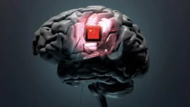 ایمپلنت جدید چین به فرد بدون دست و پا اجازه داد نشانگر کامپیوتر را با مغز حرکت دهد 5 ایمپلنت جدید چین به فرد بدون دست و پا اجازه داد نشانگر کامپیوتر را با مغز حرکت دهد