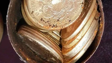 ‌زوج آمریکایی میلیون‌ها دلار سکه طلا در ملک‌شان پیدا کردند