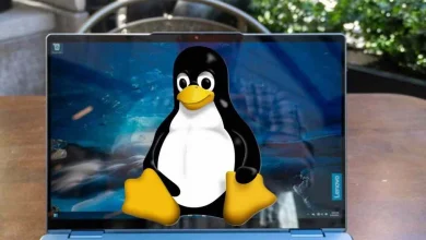 حرکت دانمارک از مایکروسافت به سوی لینوکس 6 حرکت دانمارک از مایکروسافت به سوی لینوکس