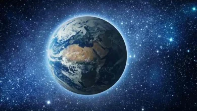 دانشمندان در تلاش برای تکثیر اولین موجود زنده روی کره زمین