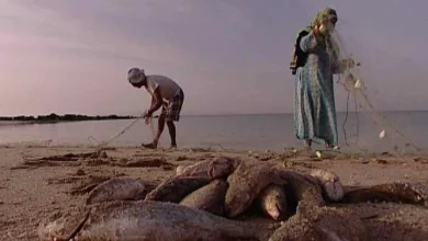 فیلم مستند «مریم جزیره هنگام»؛ روایتی از دلنشین از زندگی، تاریخ و دریا