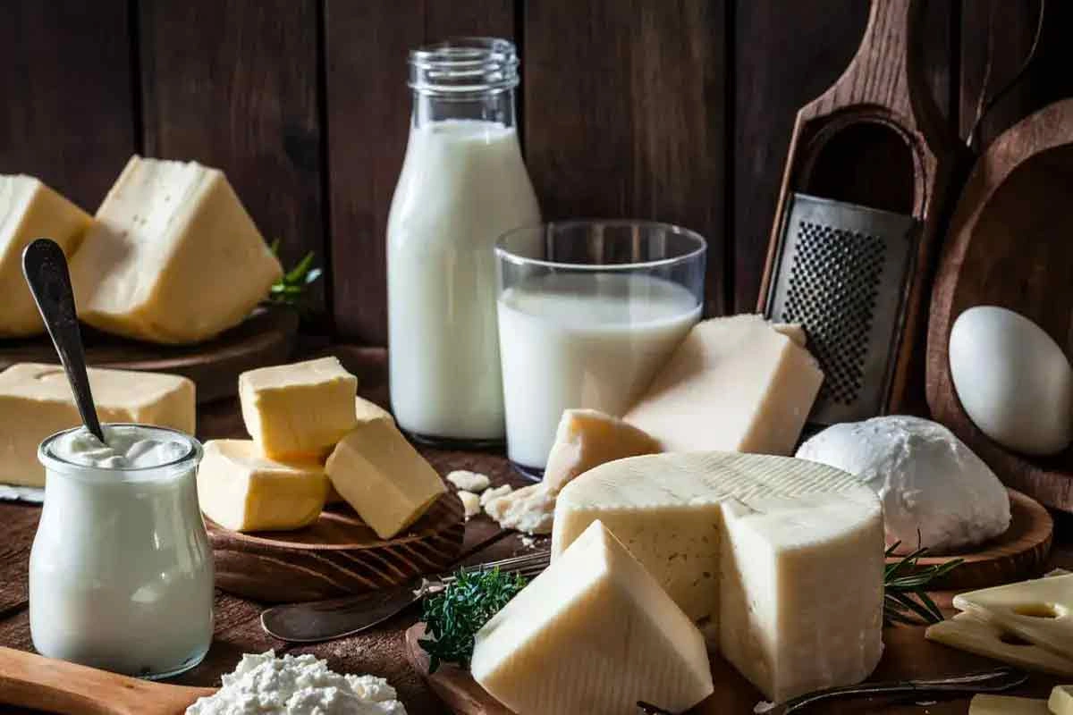 کدام انواع لبنیات برای بدن مفیدتر هستند؟ 4 کدام انواع لبنیات برای بدن مفیدتر هستند؟