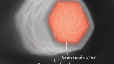 کشف حالتهای گمشده کوانتومی پس از شصت سال 3 کشف حالتهای گمشده کوانتومی پس از شصت سال