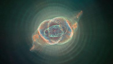 تصویری بینظیر از سحابی چشم گربه با ۶۵ ساعت عکاسی نجومی 4 تصویری بینظیر از سحابی چشم گربه با ۶۵ ساعت عکاسی نجومی