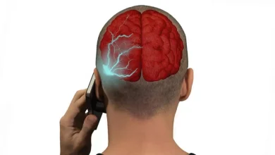 تأثیرات پنهان موبایل بر مغز؛ خطراتی که از چشم پنهان مانده‌اند