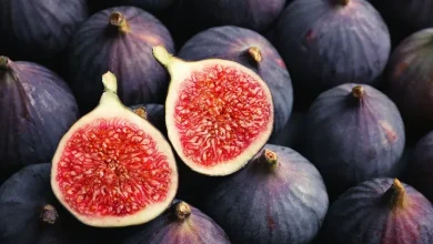 انجیر؛ میوه‌ای تابستانی با خواص ضدالتهابی، ضدسرطان و تقویت‌کننده گوارش