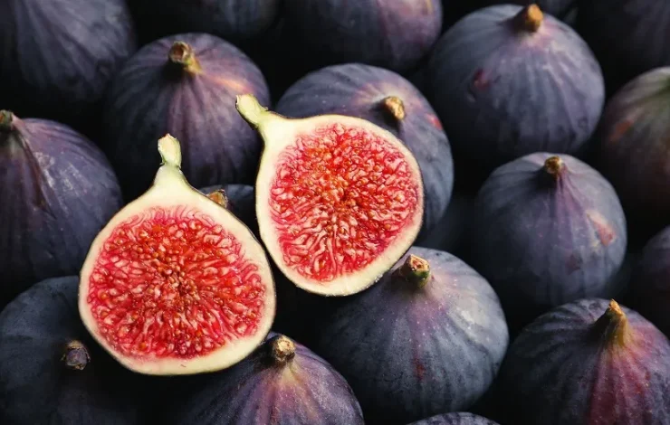 انجیر؛ میوهای تابستانی با خواص ضدالتهابی، ضدسرطان و تقویتکننده گوارش 1 انجیر؛ میوهای تابستانی با خواص ضدالتهابی، ضدسرطان و تقویتکننده گوارش