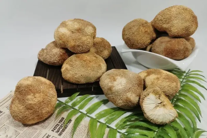 این قارچ وارداتی چینی یک سلاح بیولوژیکی است! 1 این قارچ وارداتی چینی یک سلاح بیولوژیکی است!