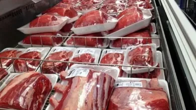 بازگشت گوشت قرمز به فهرست کالاهای اساسی