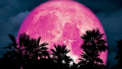 زمان و روش رصد ماه صورتی در خرداد 1404