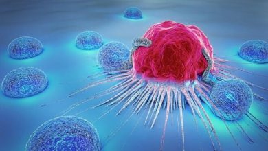 کشف روشی نوین برای مهار سرطان‌های مقاوم با هدف‌گیری سنتز RNA ریبوزومی