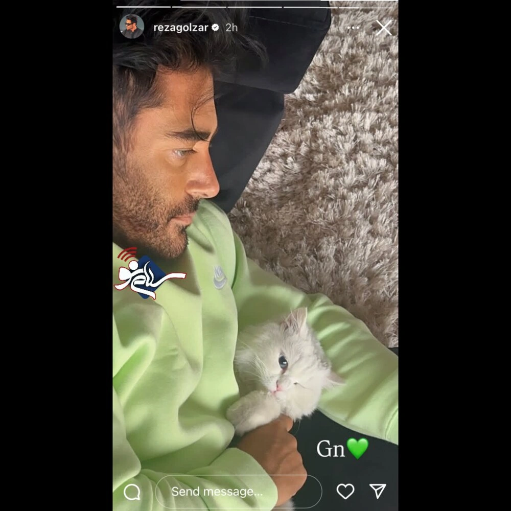 عکس بامزه محمدرضا گلزار به همراه گربهاش+ عکس 2 عکس بامزه محمدرضا گلزار به همراه گربهاش+ عکس